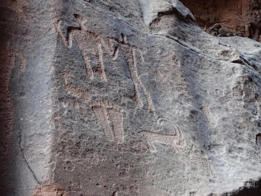 Wadi Rum Magic Nature Camp Exterior foto